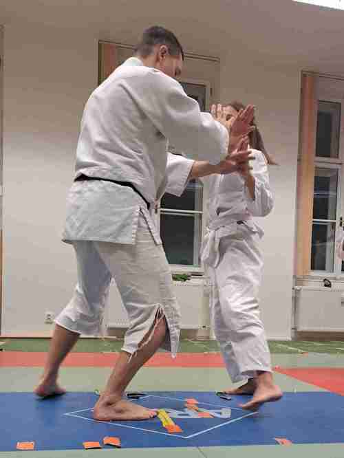 Aikido - pokročilí